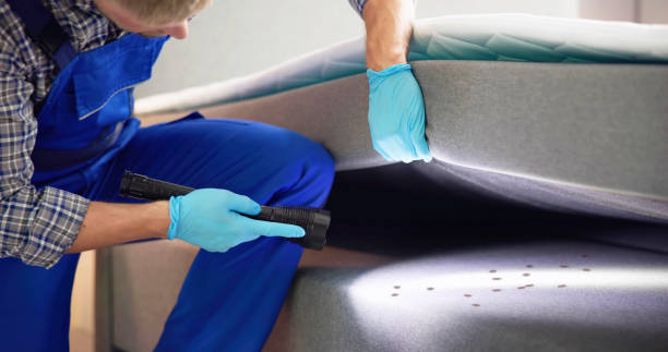 Best Exterminator Services  in Ferriday, LA
