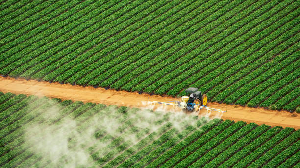 Best Pest Removal Services  in Ferriday, LA