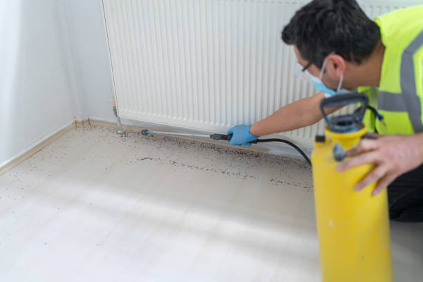 Best Mosquito Control Services  in Ferriday, LA