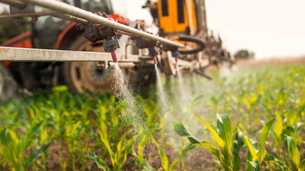 Best Best Pest Control Companies  in Ferriday, LA