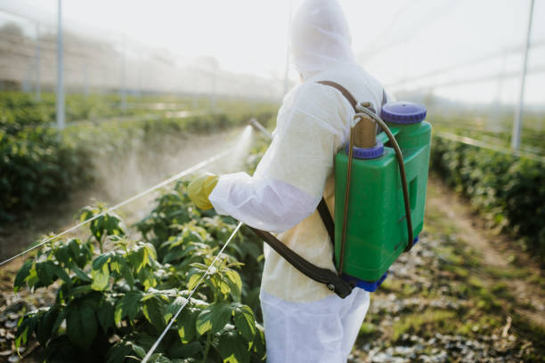 Best Exterminator Services  in Ferriday, LA